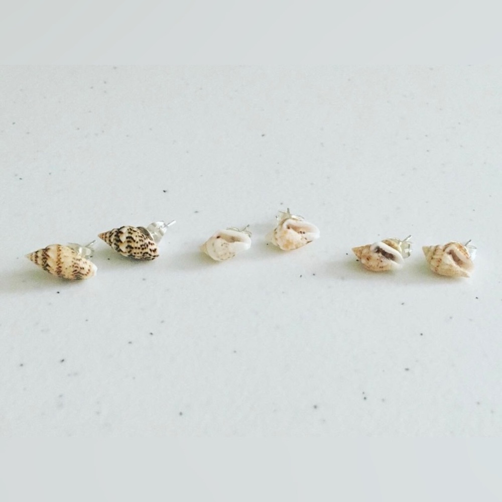 Beach Boho Tiny Seashell Stud Earrings